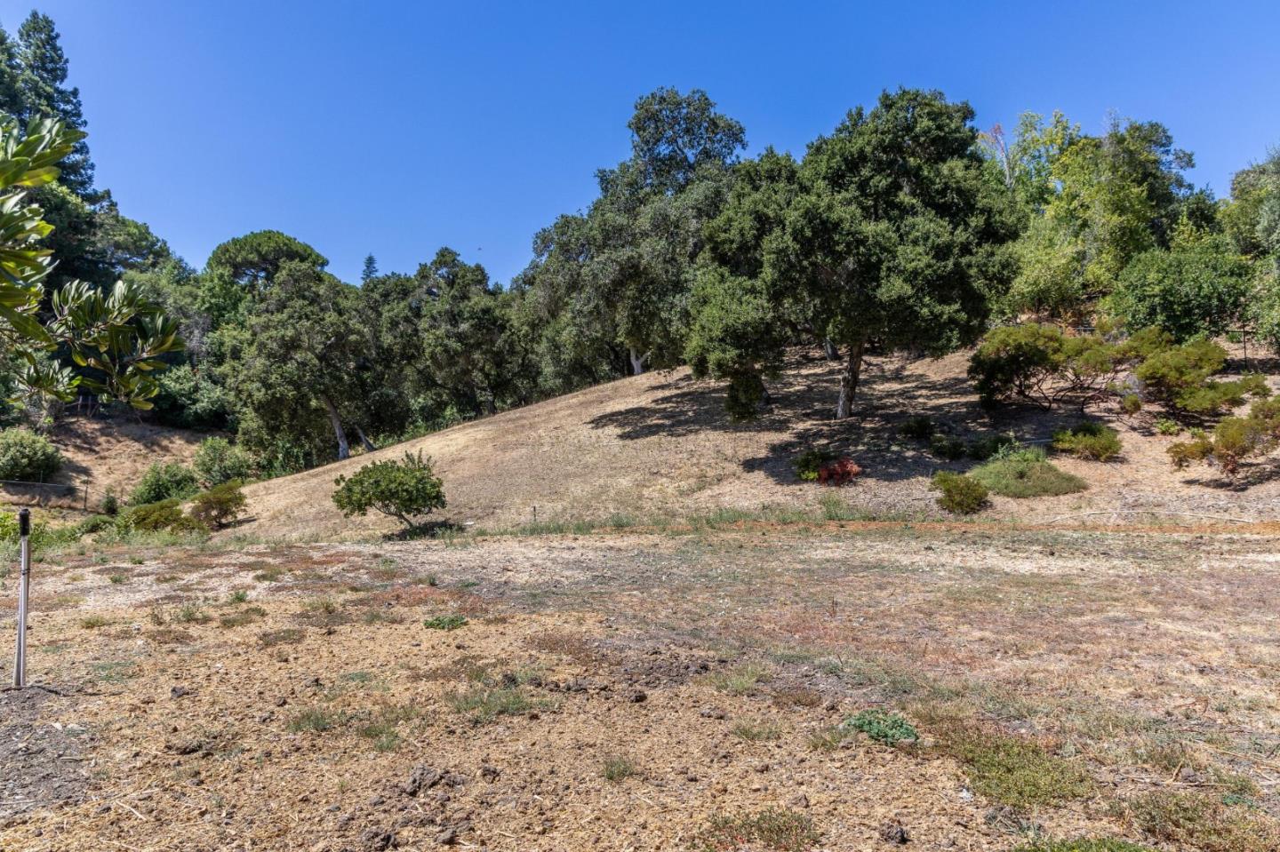 941 High Road Woodside, CA 94062 - Photo 17 of 23 a view of a dry yard with trees