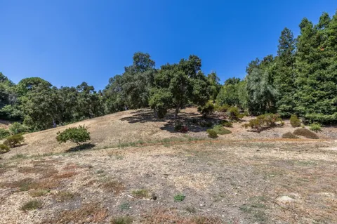 a view of outdoor space with trees all around