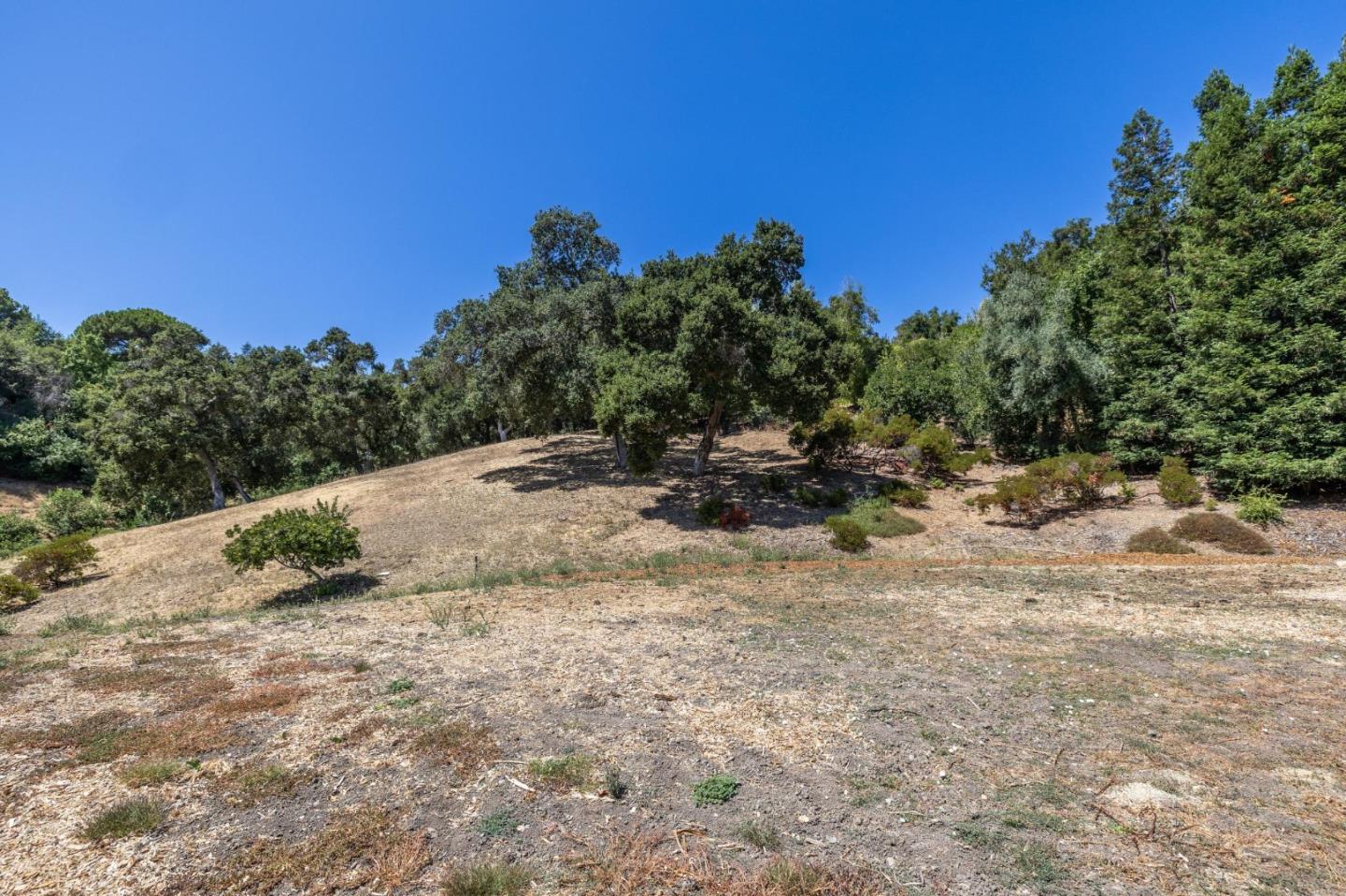 941 High Road Woodside, CA 94062 - Photo 18 of 23 a view of outdoor space with trees all around