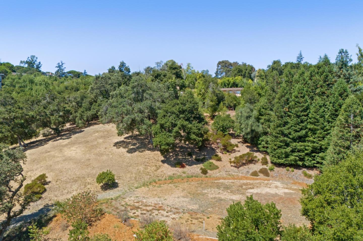 941 High Road Woodside, CA 94062 - Photo 19 of 23 a view of a yard with a tree