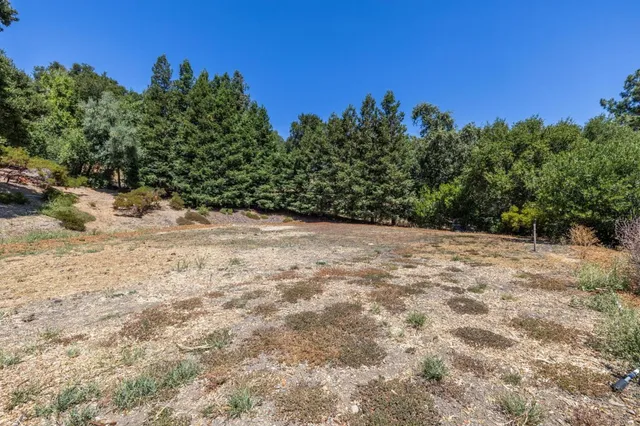 a view of a yard with a tree