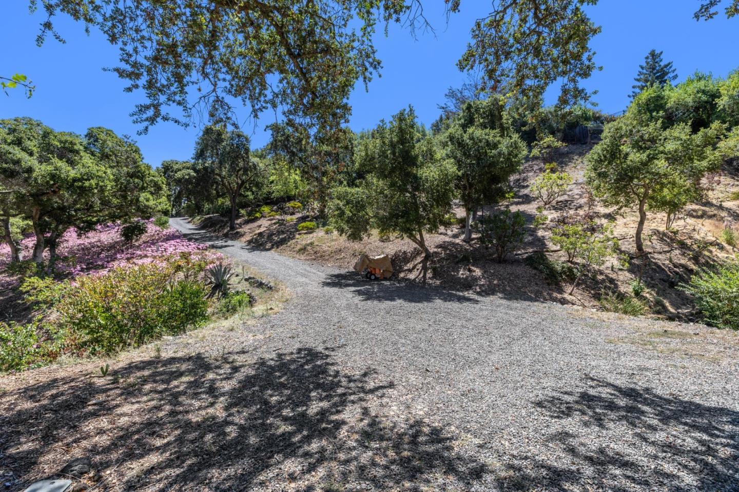 941 High Road Woodside, CA 94062 - Photo 4 of 23 a view of a forest with trees in the background