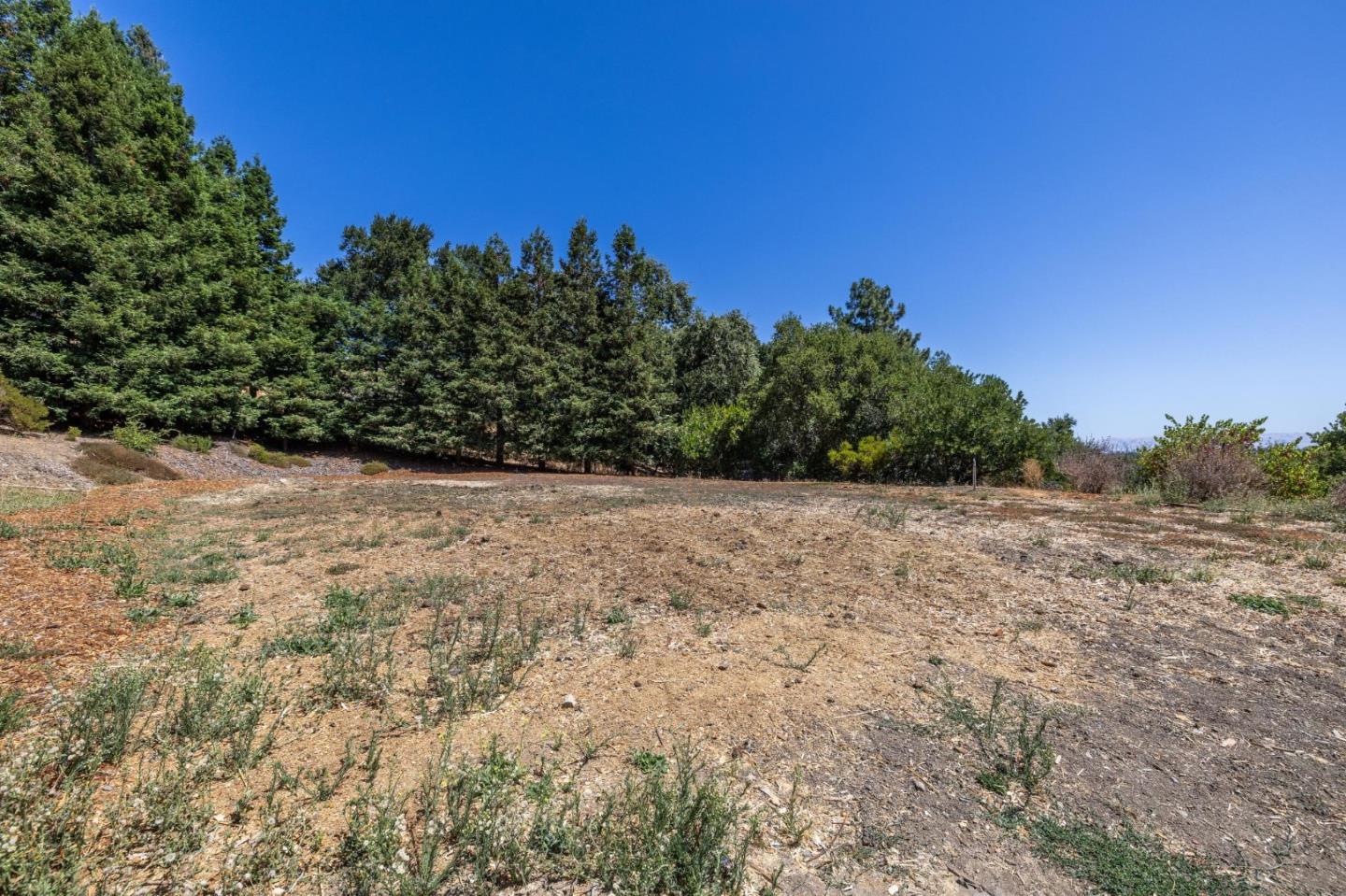 941 High Road Woodside, CA 94062 - Photo 8 of 23 a view of a yard