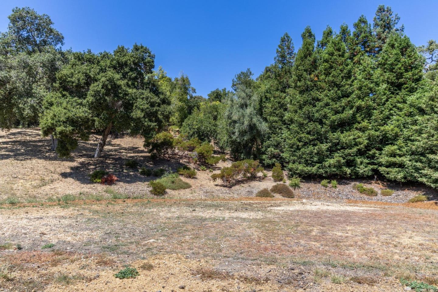 941 High Road Woodside, CA 94062 - Photo 9 of 23 a view of a yard with plants and trees