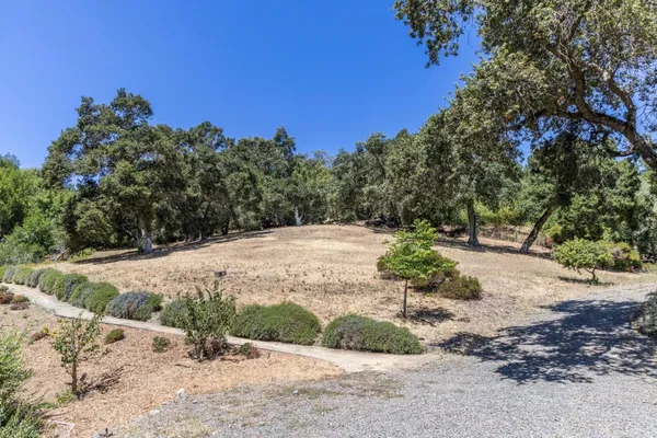 a view of a yard with plants and trees