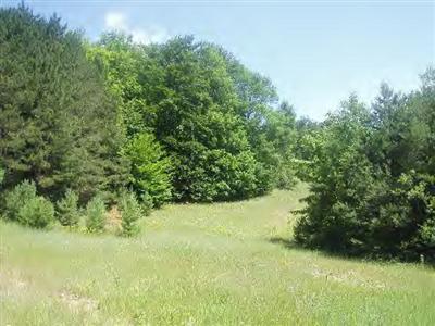 11450 Potter Road Bear Lake, MI 49614 - Photo 2 of 6 Additional Photo