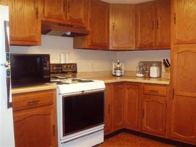 11450 Potter Road Bear Lake, MI 49614 - Photo 4 of 6 Additional Photo