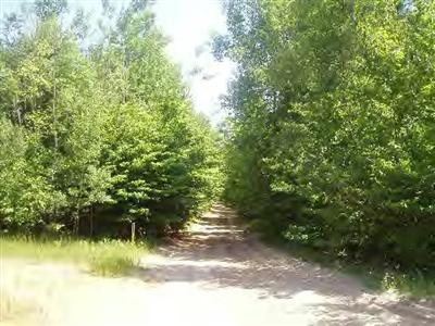11450 Potter Road Bear Lake, MI 49614 - Photo 5 of 6 Additional Photo