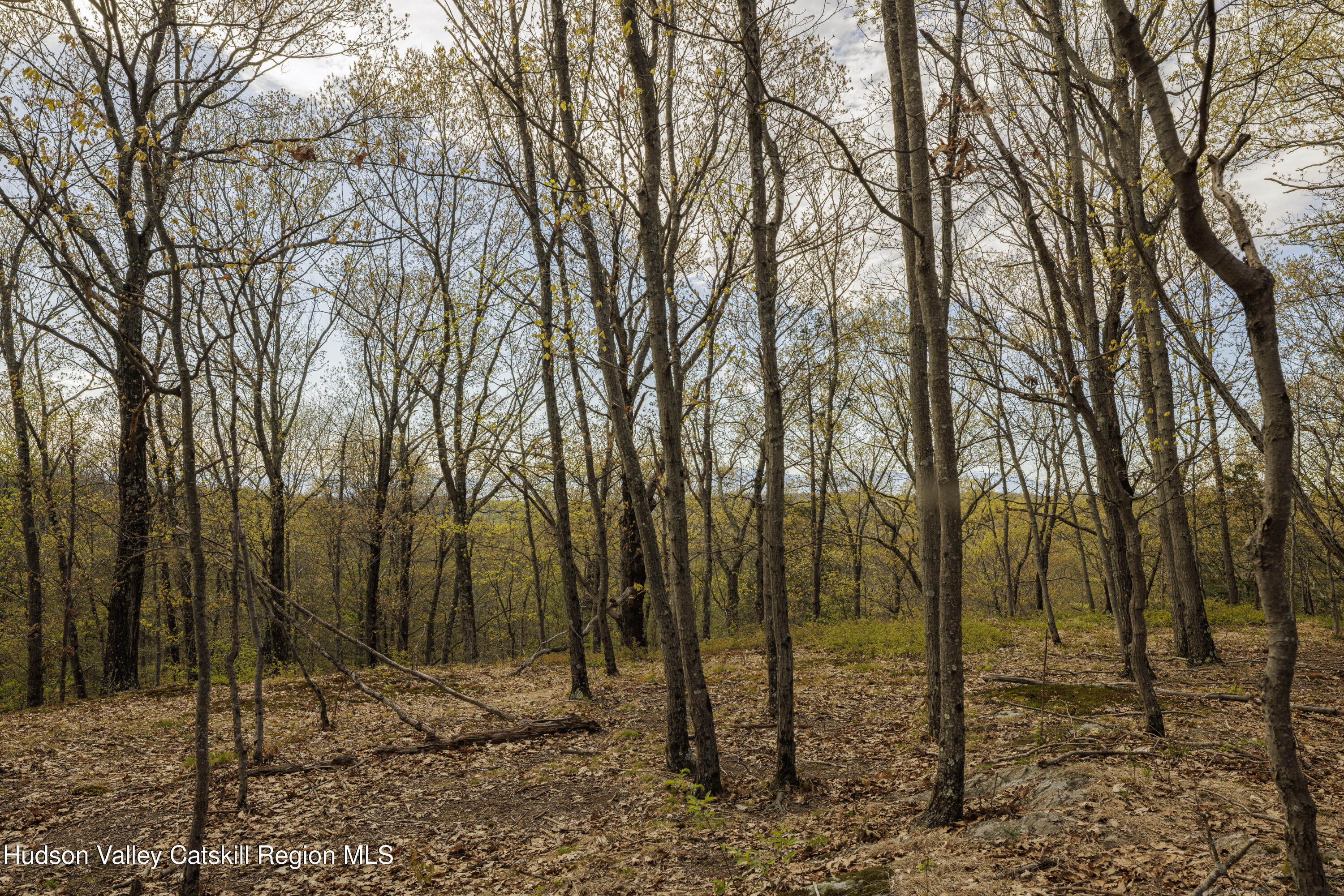 - Schultz Hill Road Staatsburg, NY 12580 - Photo 3 of 10 Alon-Koppel-Photography-IMG_0616
