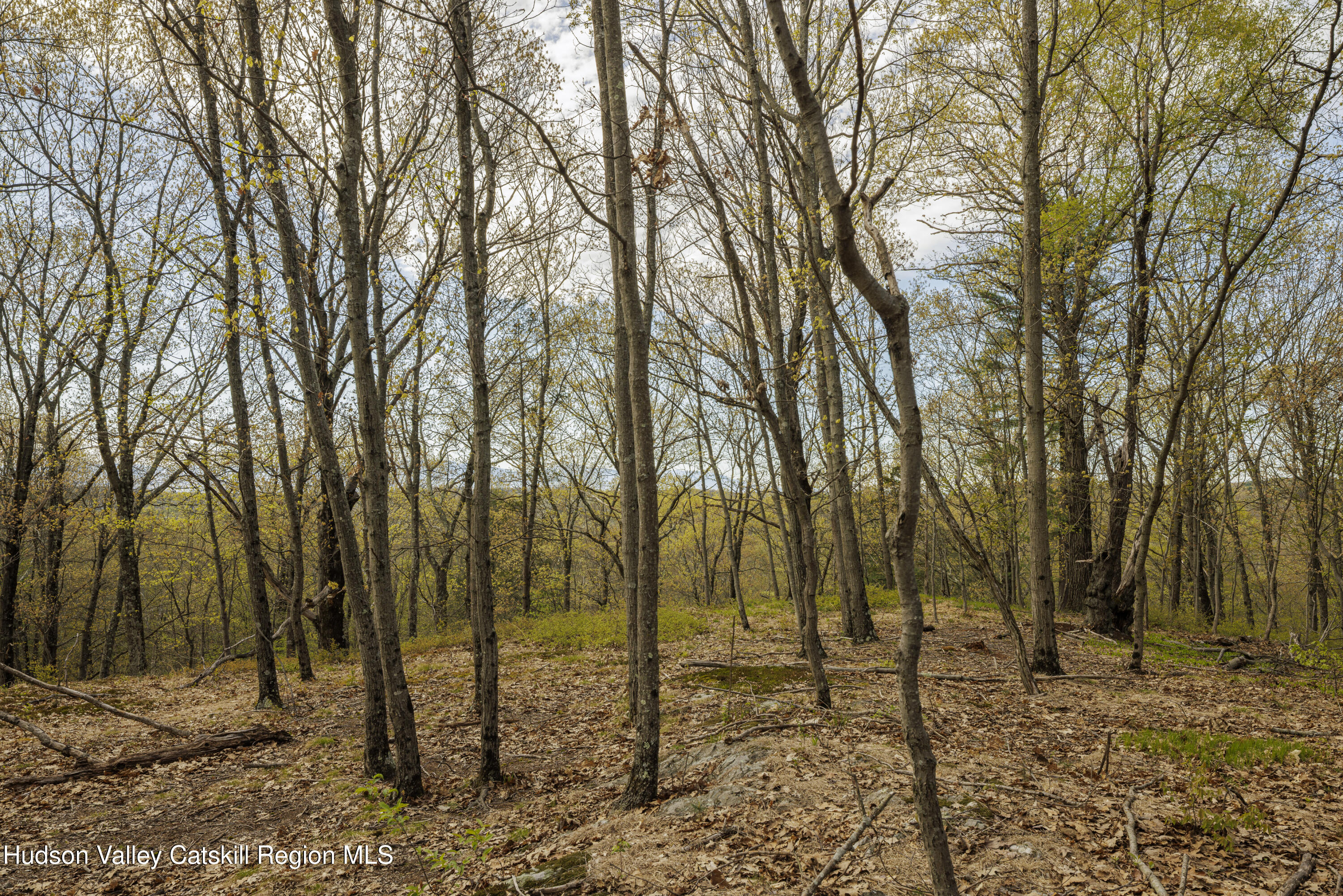 - Schultz Hill Road Staatsburg, NY 12580 - Photo 4 of 10 Alon-Koppel-Photography-IMG_0618