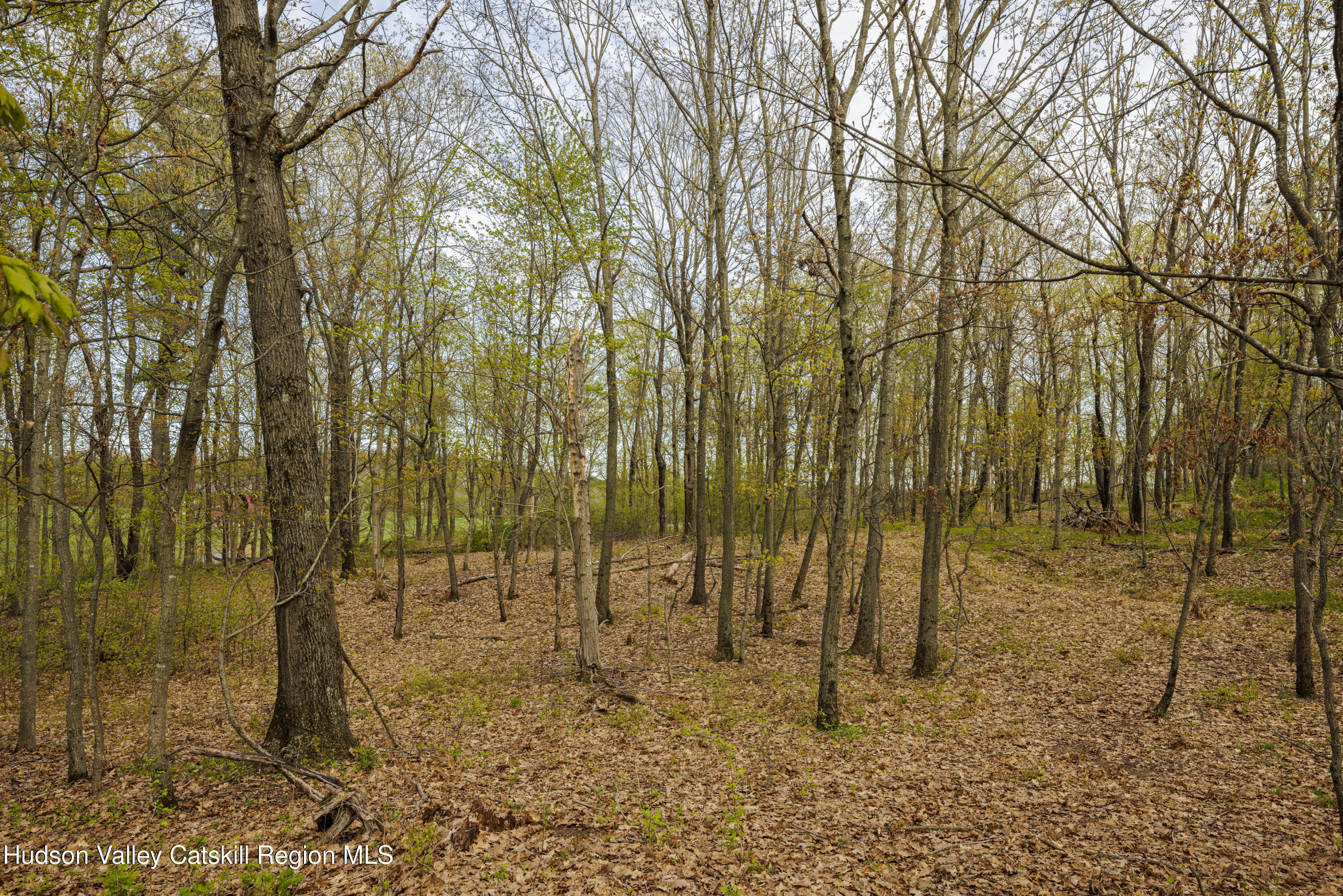 - Schultz Hill Road Staatsburg, NY 12580 - Photo 5 of 10 Alon-Koppel-Photography-IMG_0622