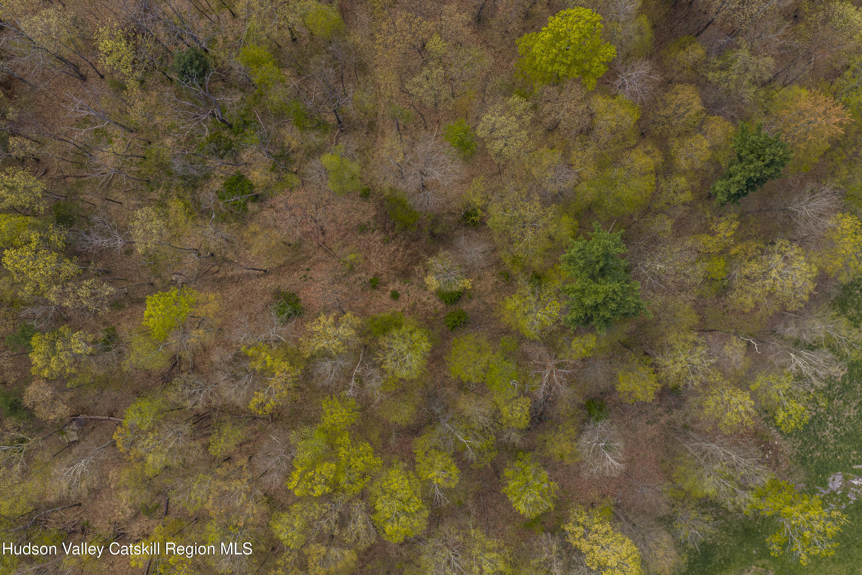 - Schultz Hill Road Staatsburg, NY 12580 - Photo 9 of 10 Alon-Koppel-Photography_0187_D