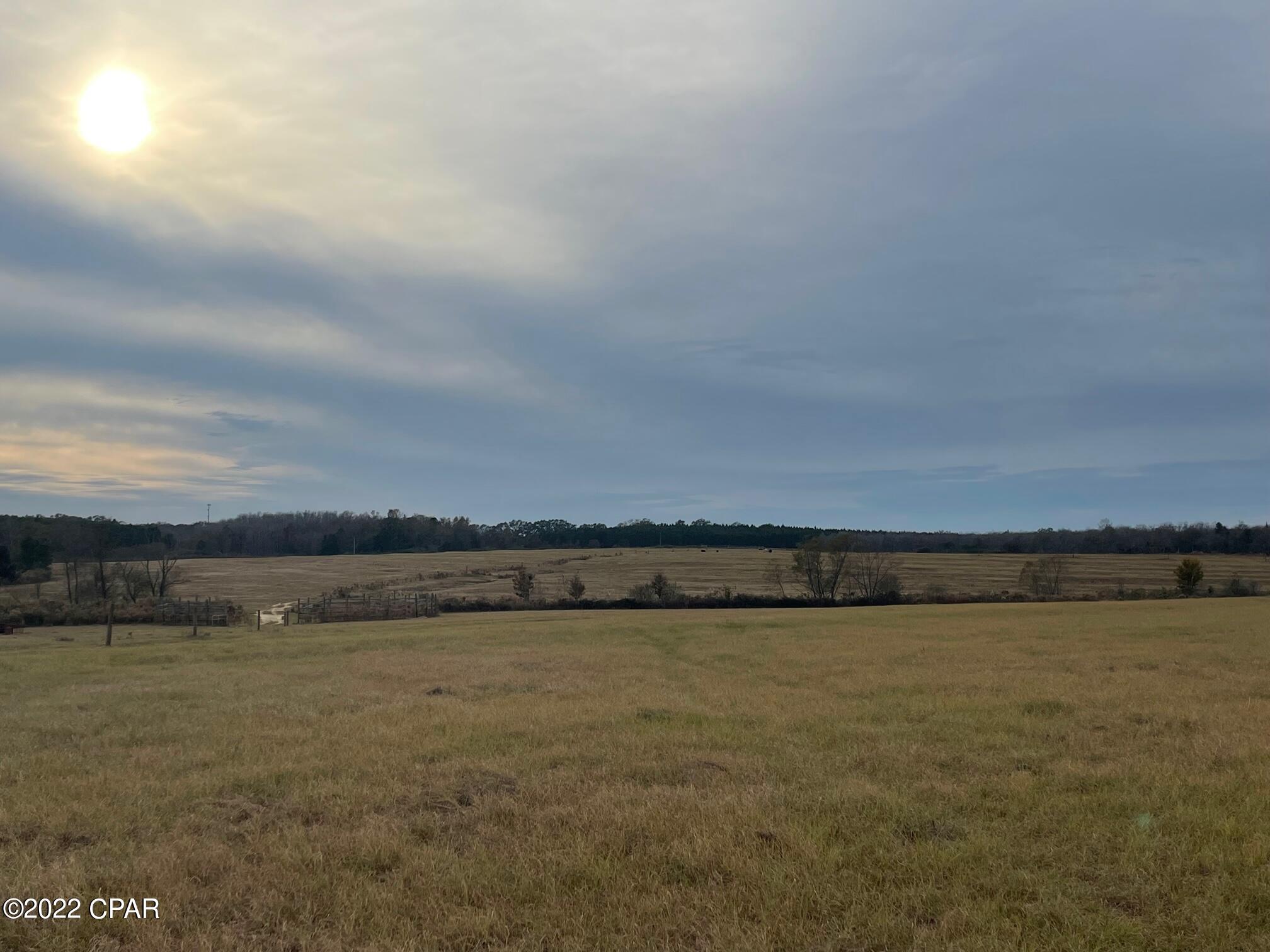 1279 Gavin Road Bonifay, FL 32425 - Photo 1 of 30 Gallery Image 1