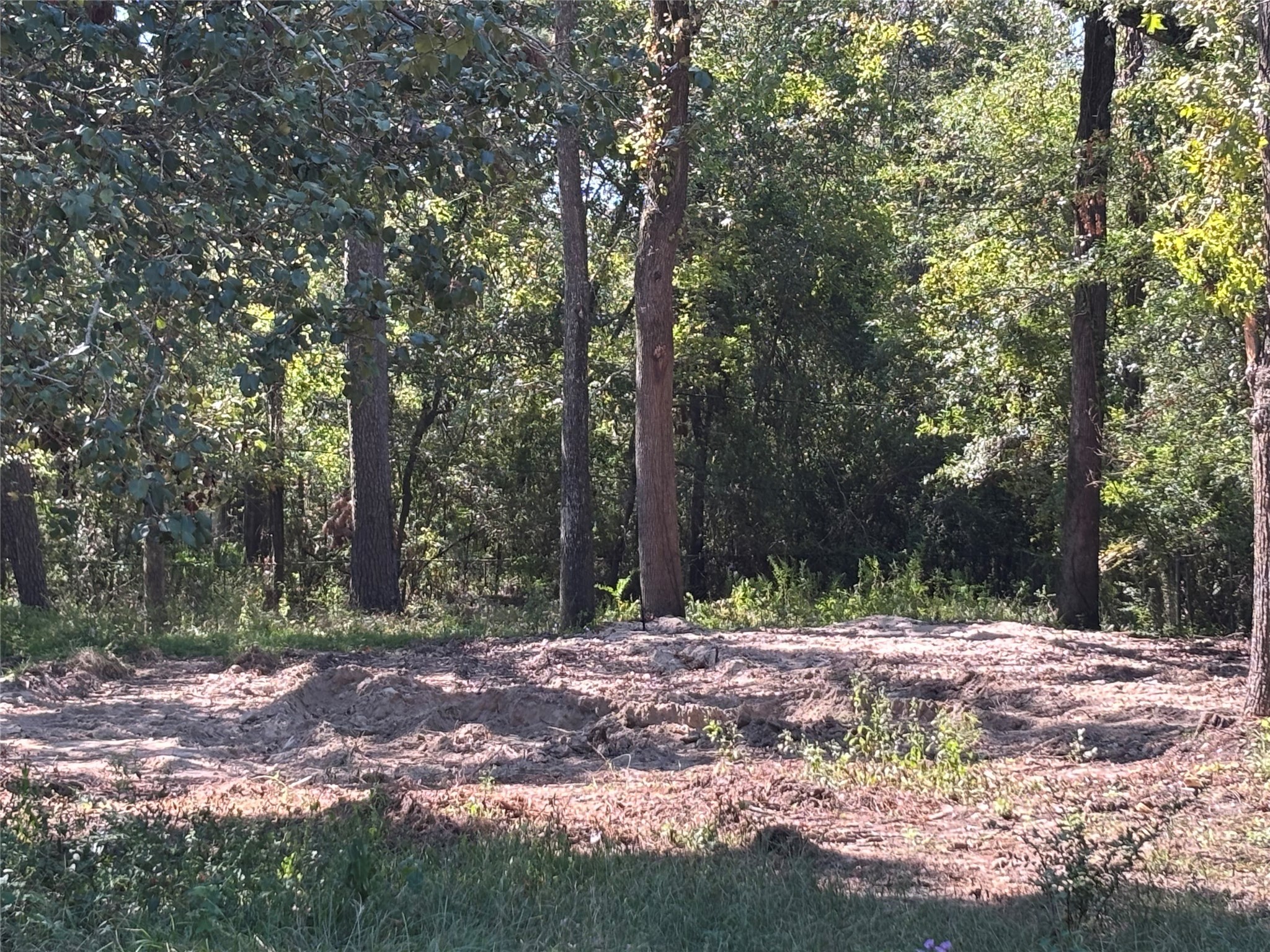 1314 Hamblen Road Houston, TX 77339 - Photo 2 of 7 a view of outdoor space with trees