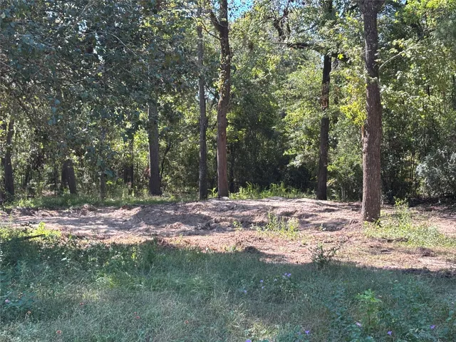 $30,000 | 1314 Hamblen Road, Houston, TX 77339