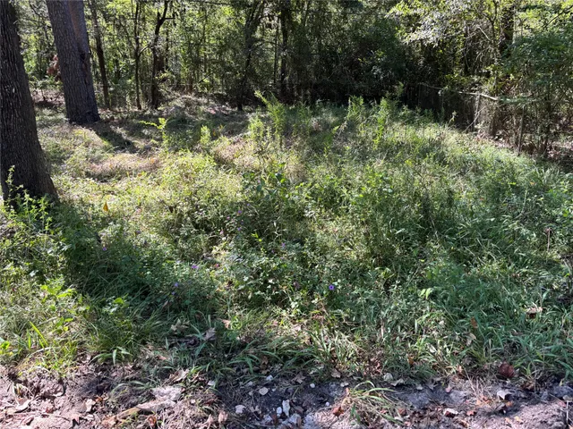 $30,000 | 1314 Hamblen Road, Houston, TX 77339