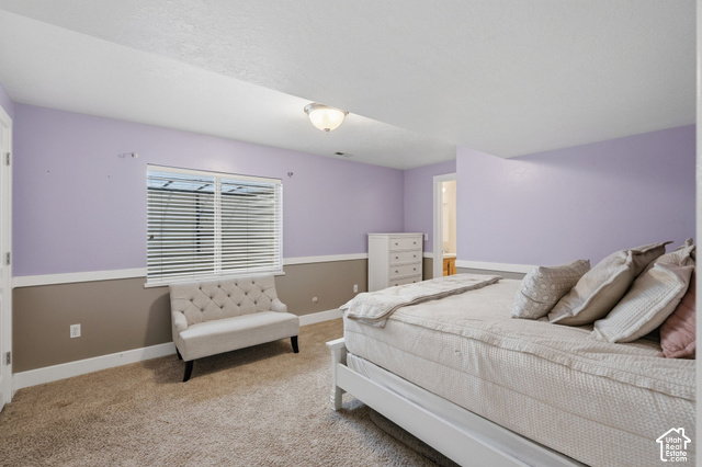 1447 Meadow Lane Mapleton, UT 84664 - Photo 34 of 67 Wall-to-wall carpeting, two-tone wall treatment, and a window with blinds
