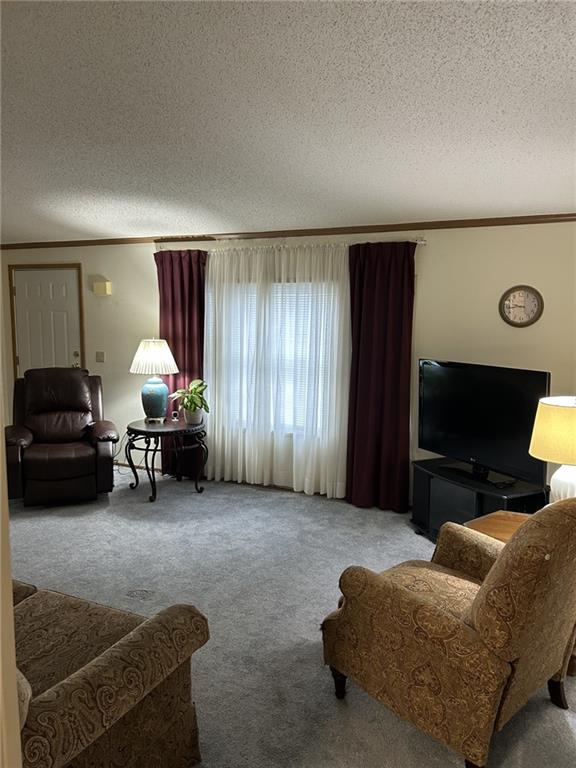 269 Ridge Lane Murrysville, PA 15668 - Photo 14 of 32 a living room with furniture and a window