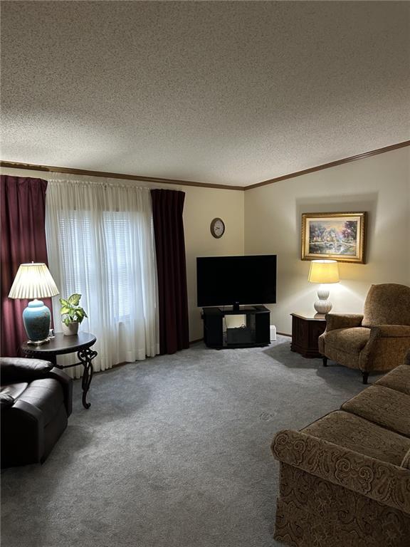 269 Ridge Lane Murrysville, PA 15668 - Photo 15 of 32 a living room with furniture a fireplace and a flat screen tv
