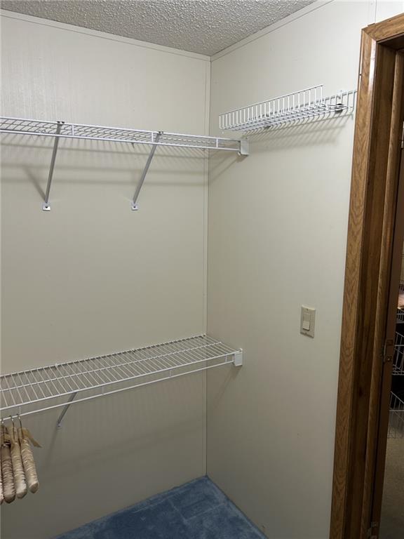 269 Ridge Lane Murrysville, PA 15668 - Photo 21 of 32 a view of a room with racks on the wall