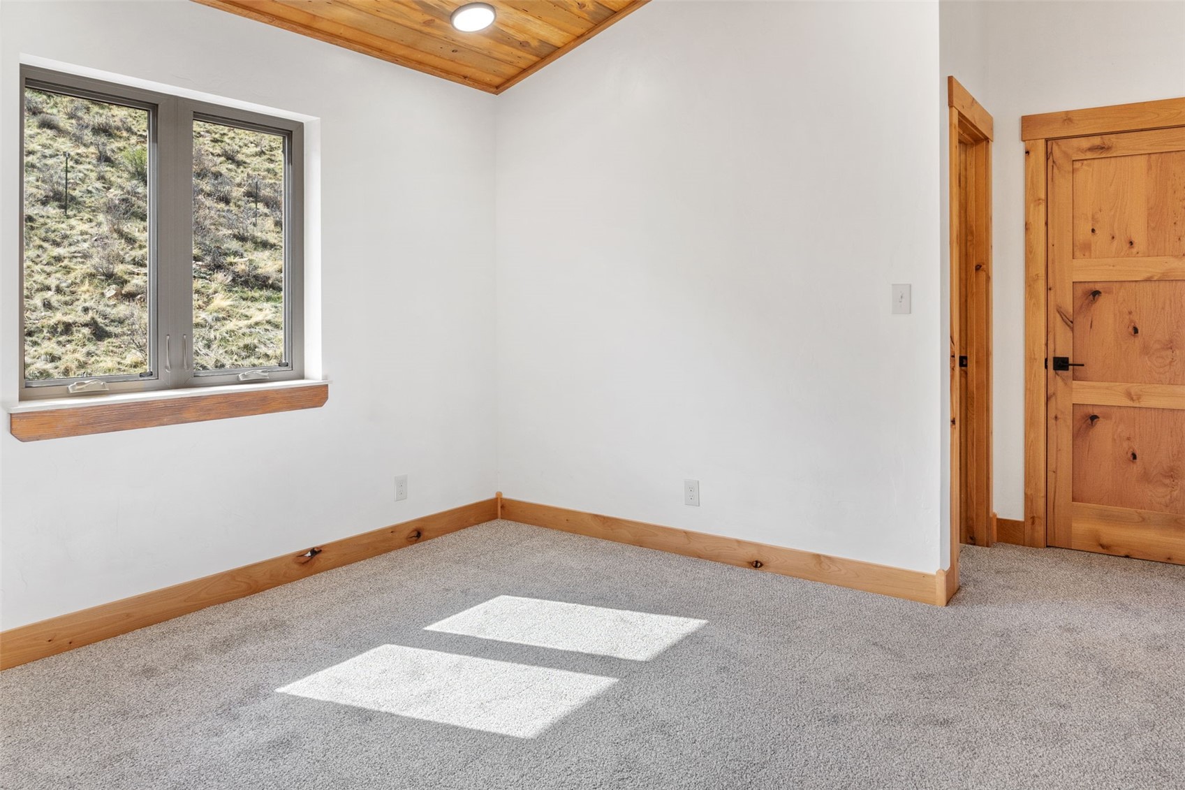 3415 Redhill Road Fairplay, CO 80440 - Photo 26 of 50 an empty room with windows
