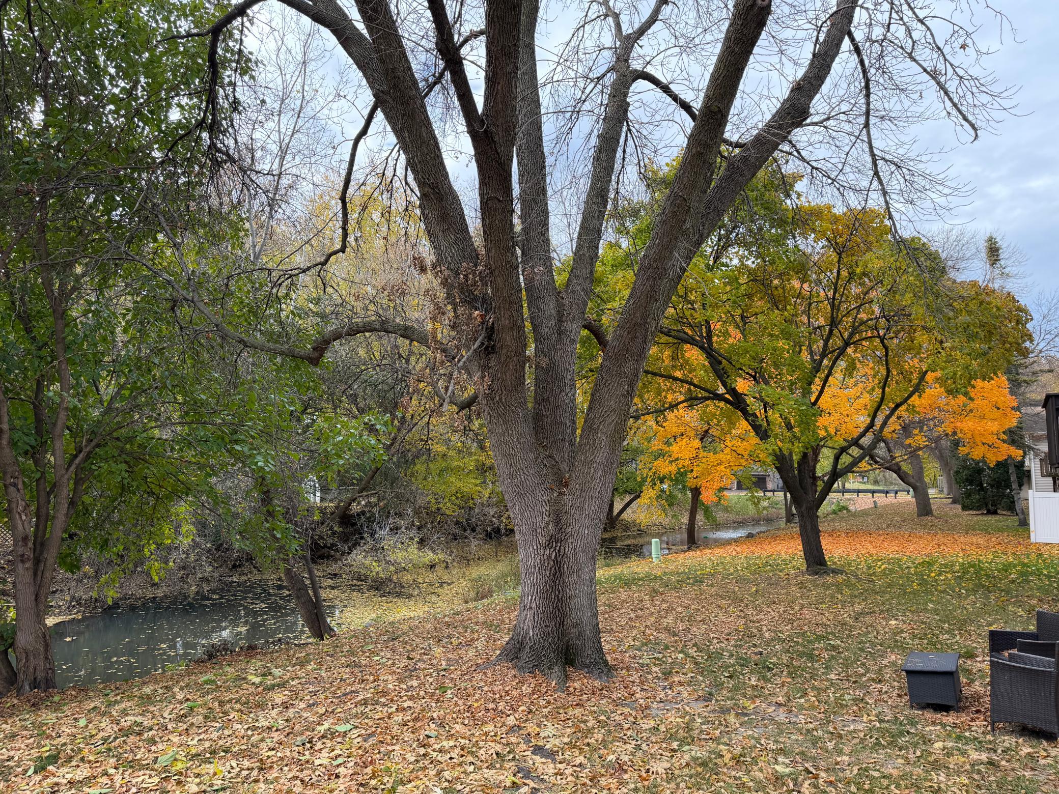 5331 70th Circle North Brooklyn Center, MN 55429 - Photo 25 of 27