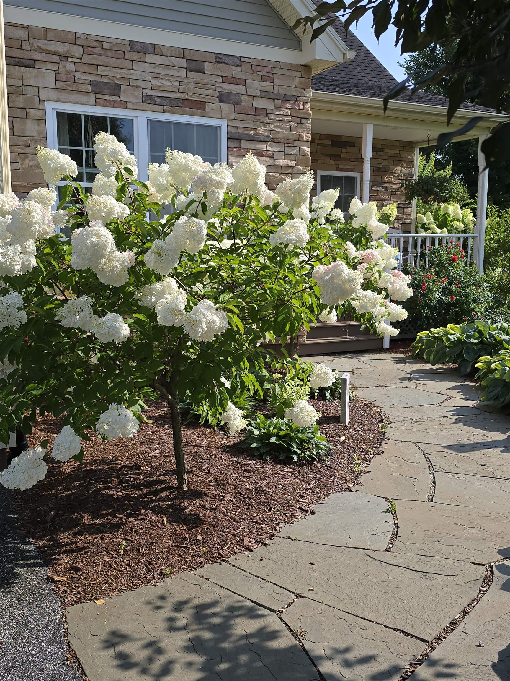 2 Shetland Lane Swanton, VT 05488 - Photo 54 of 60