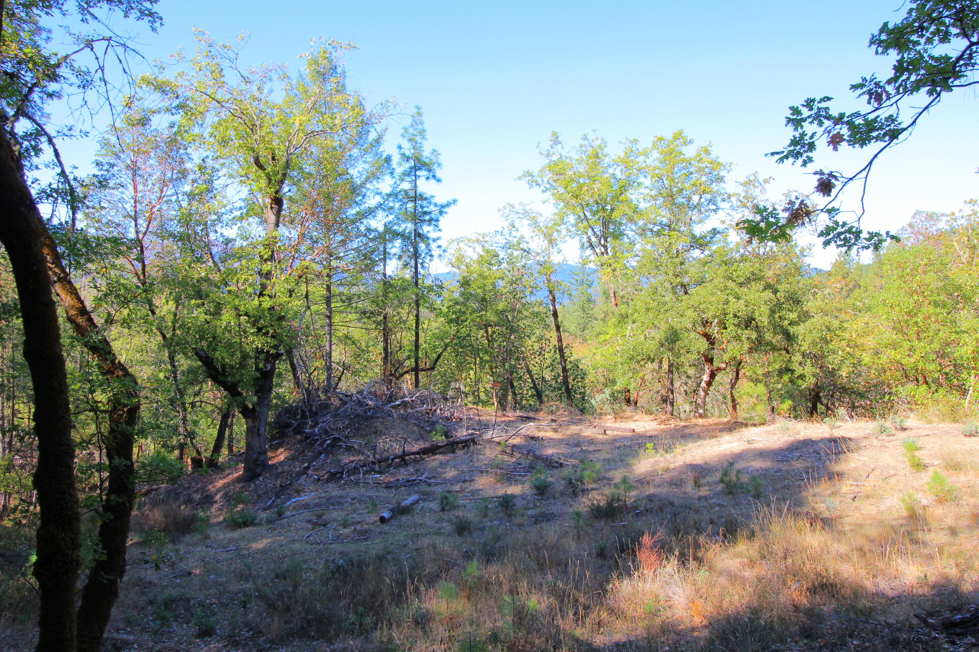 10489 Lower River Road Grants Pass, OR 97526 - Photo 16 of 30 acreage
