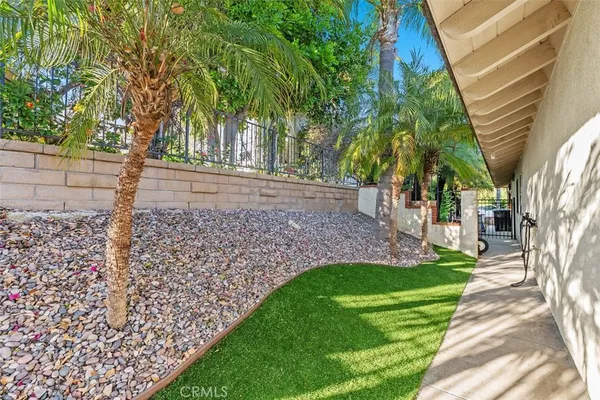 a view of a yard with plants and a large tree