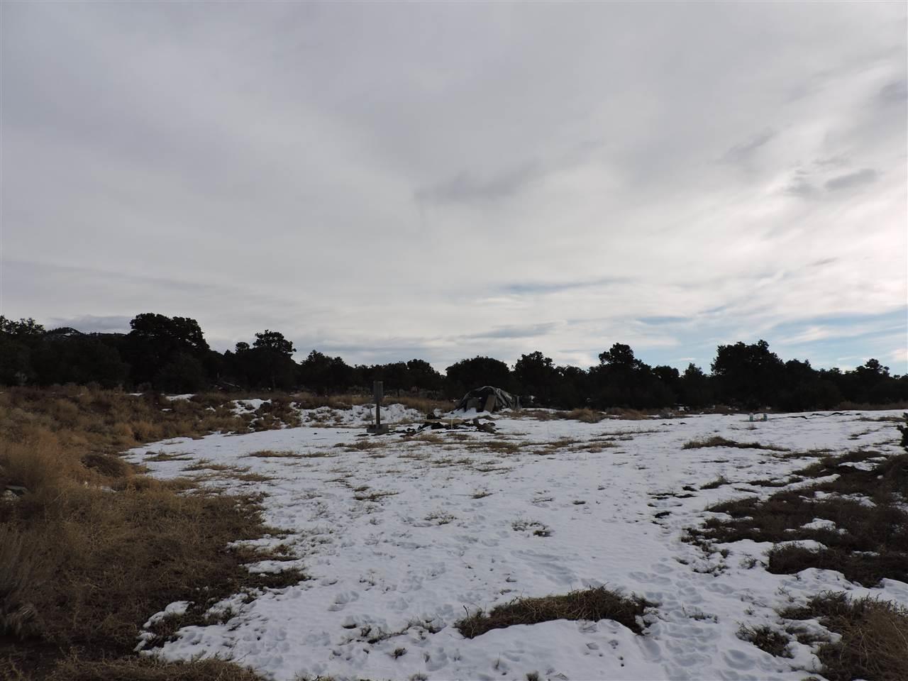 1273 Juarez Road Fort Garland, CO 81133 - Photo 3 of 11 Gallery Image 3