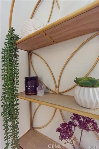 a picture of a room with furniture and a potted plant