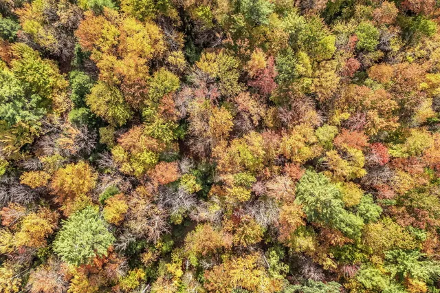 $425,000 | 212 Ridge Road, Peru, ME 04290