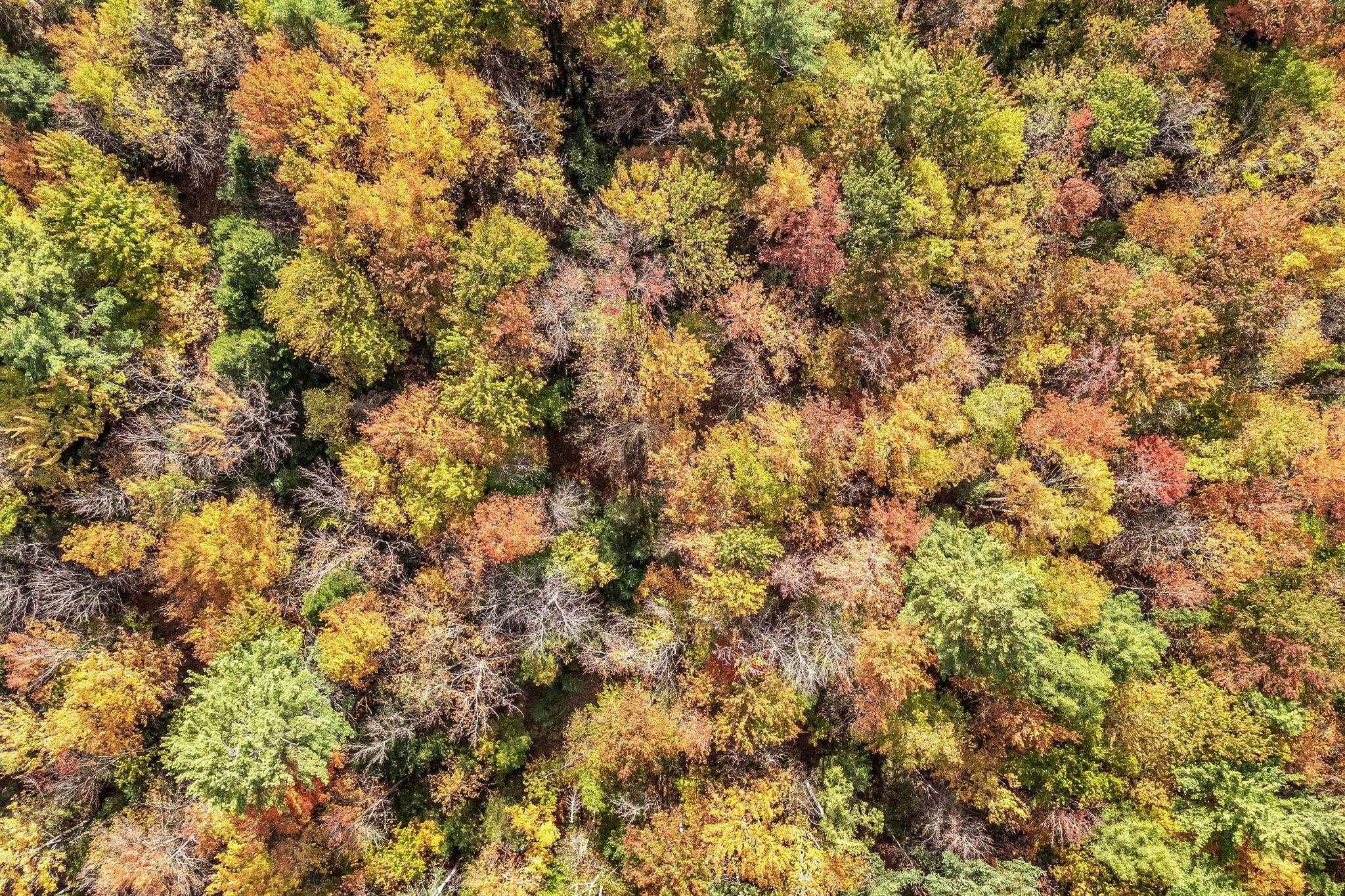 212 Ridge Road Peru, ME 04290 - Photo 17 of 74 21-web-or-mls-212-ridge-rd