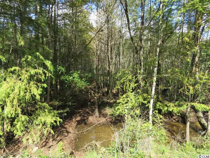 1 Swimming Hole Road Delco, NC 28436 - Photo 2 of 6 Gallery Image 2