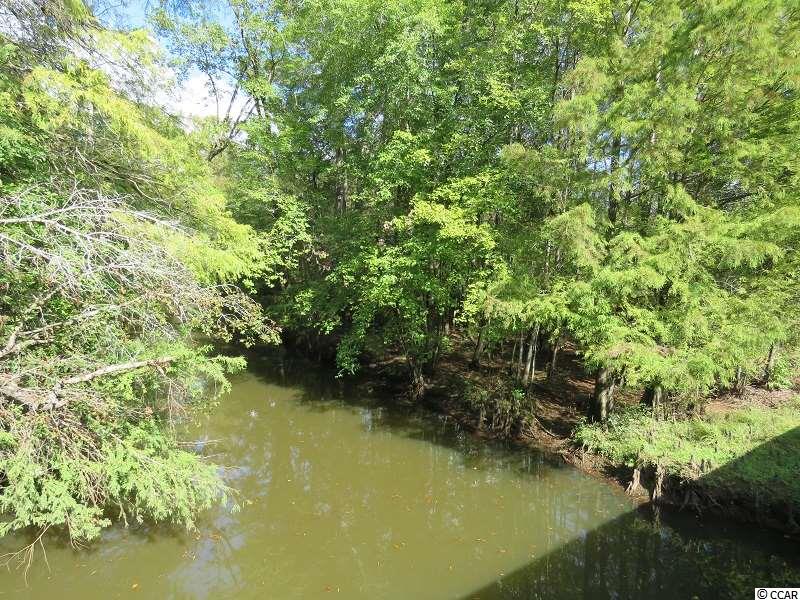 1 Swimming Hole Road Delco, NC 28436 - Photo 3 of 6 Gallery Image 3