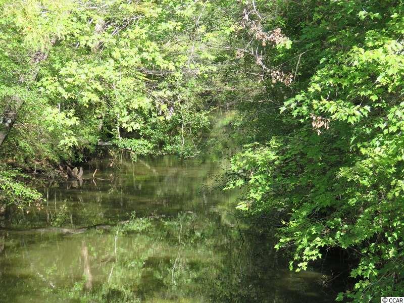 1 Swimming Hole Road Delco, NC 28436 - Photo 5 of 6 Gallery Image 5