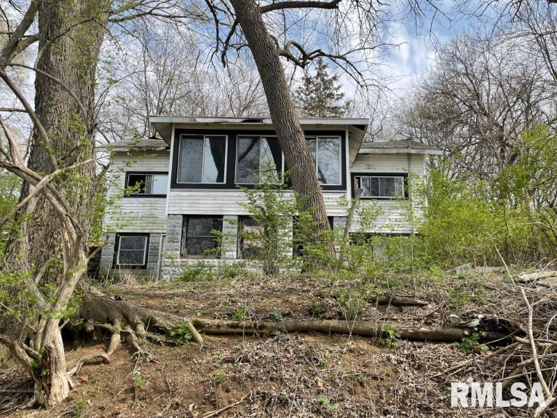 19758 Baldwin Beach Road Havana, IL 62644 - Photo 3 of 12 Gallery Image 3