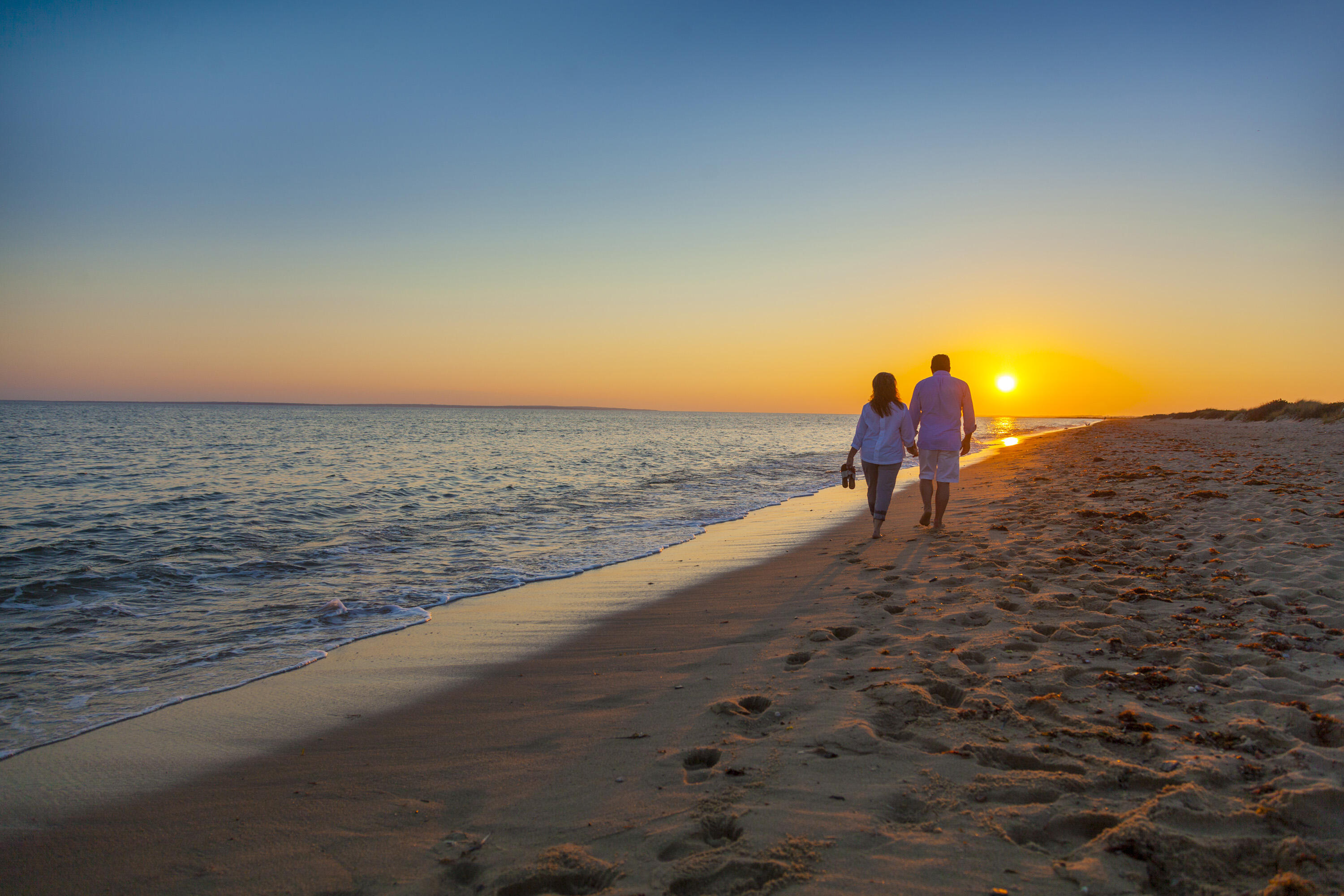 58 Cobblestone Circle Mashpee, MA 02649 - Photo 49 of 49 a view of an ocean beach