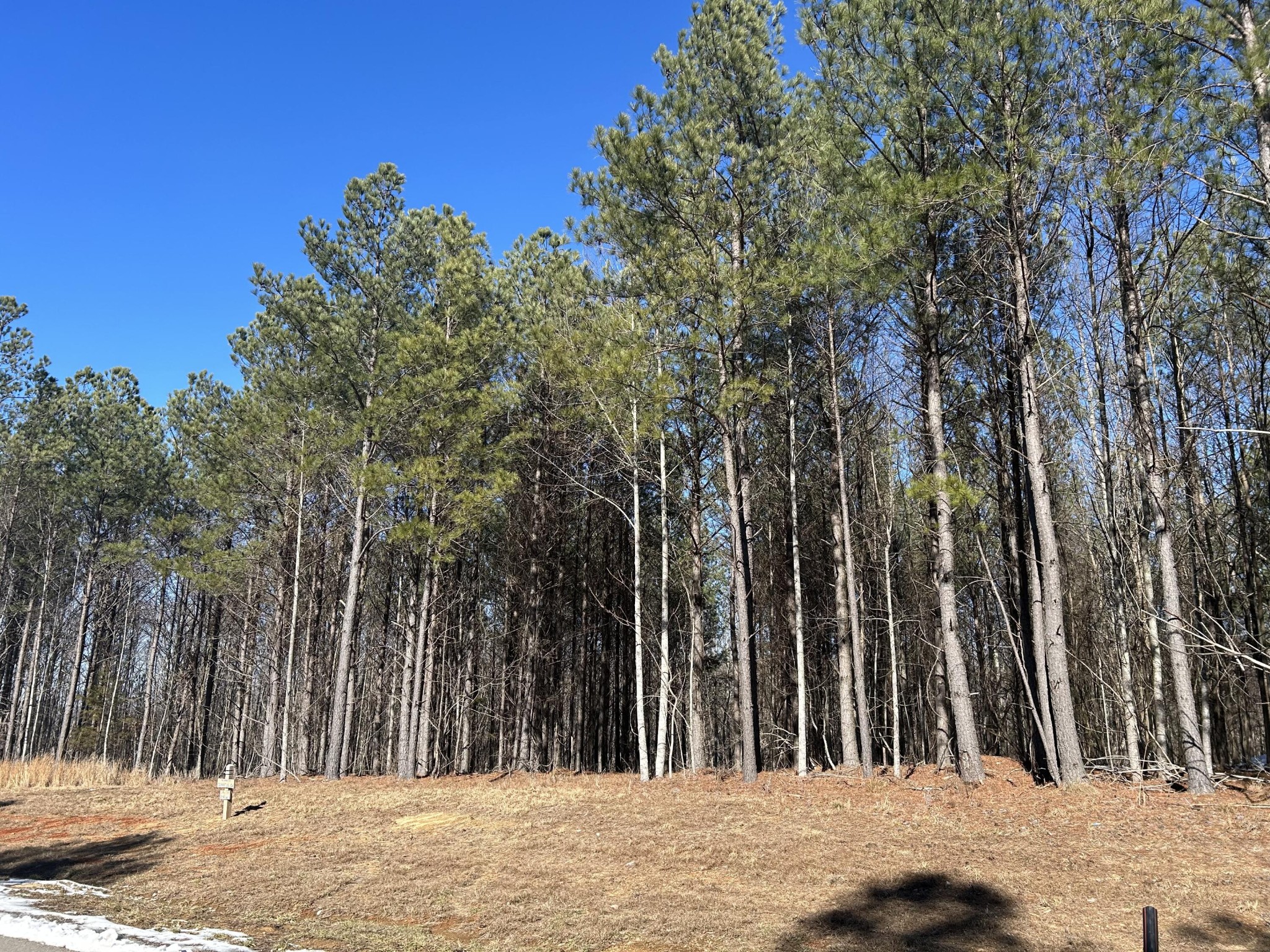320 Waterwheel Way Jasper, TN 37347 - Photo 3 of 25 a view of outdoor space with trees