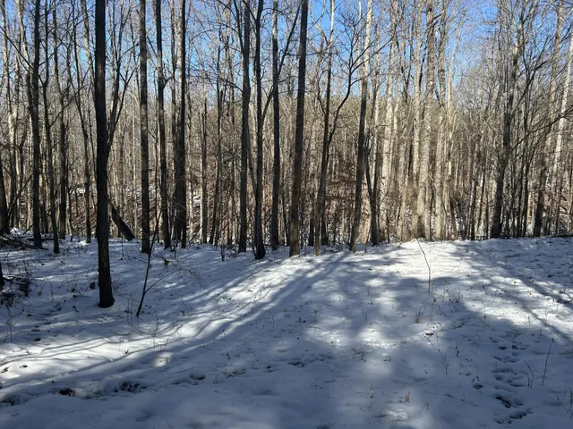 a view of a backyard of the house