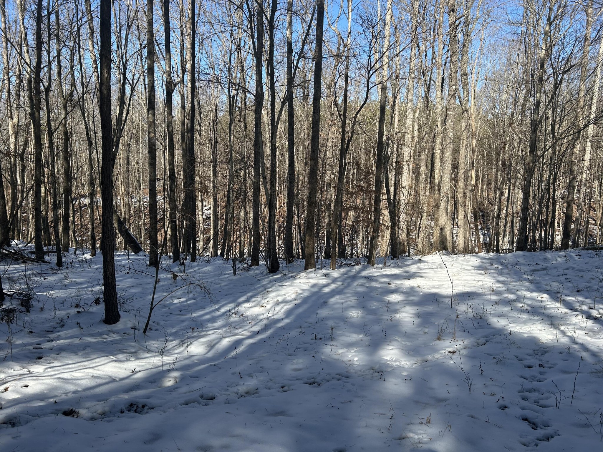 320 Waterwheel Way Jasper, TN 37347 - Photo 4 of 25 a view of a backyard of the house