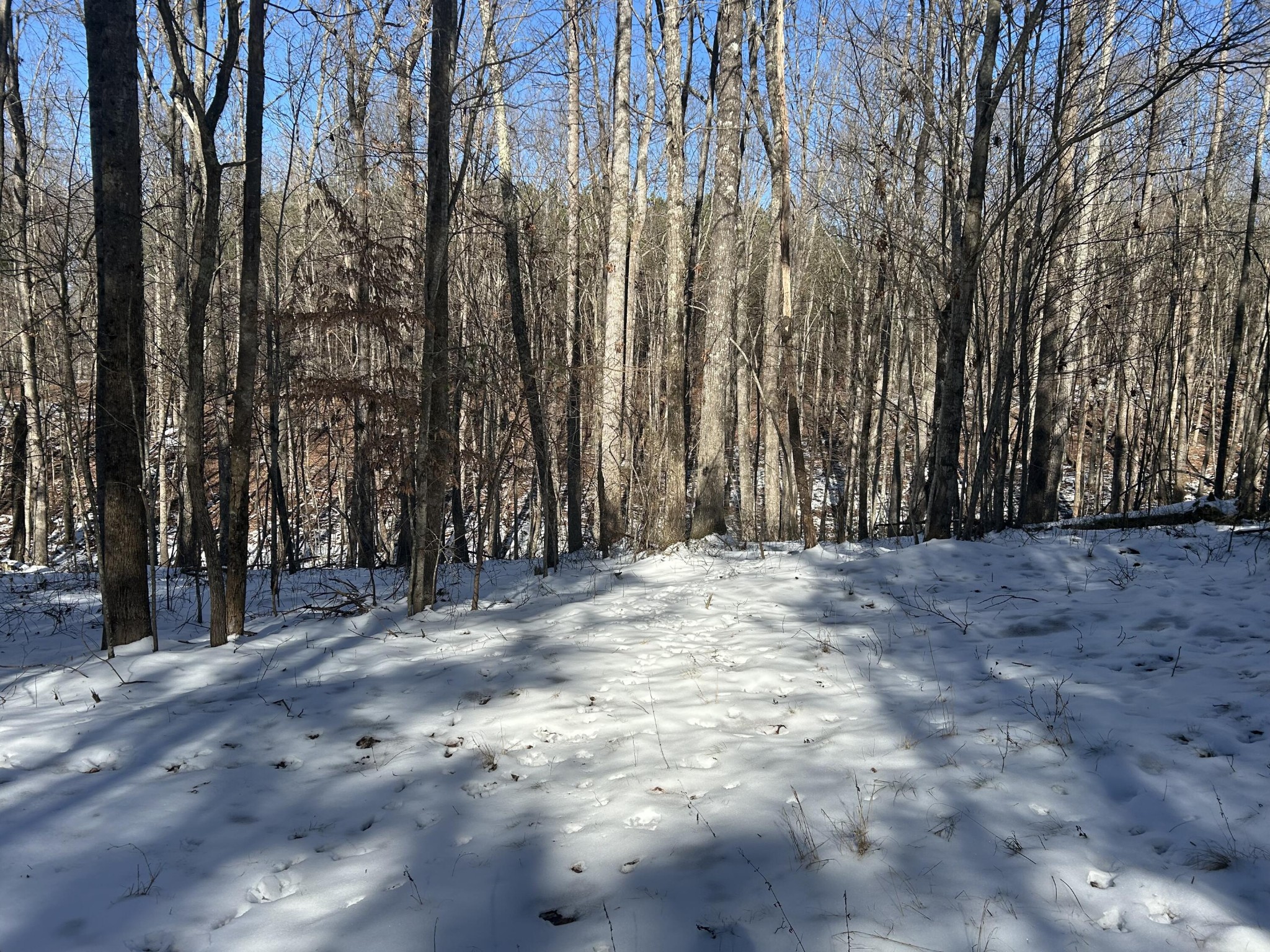 320 Waterwheel Way Jasper, TN 37347 - Photo 5 of 25 a view of outdoor space and trees