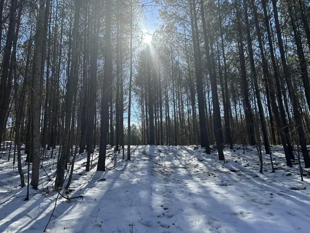 a view of outdoor space and trees