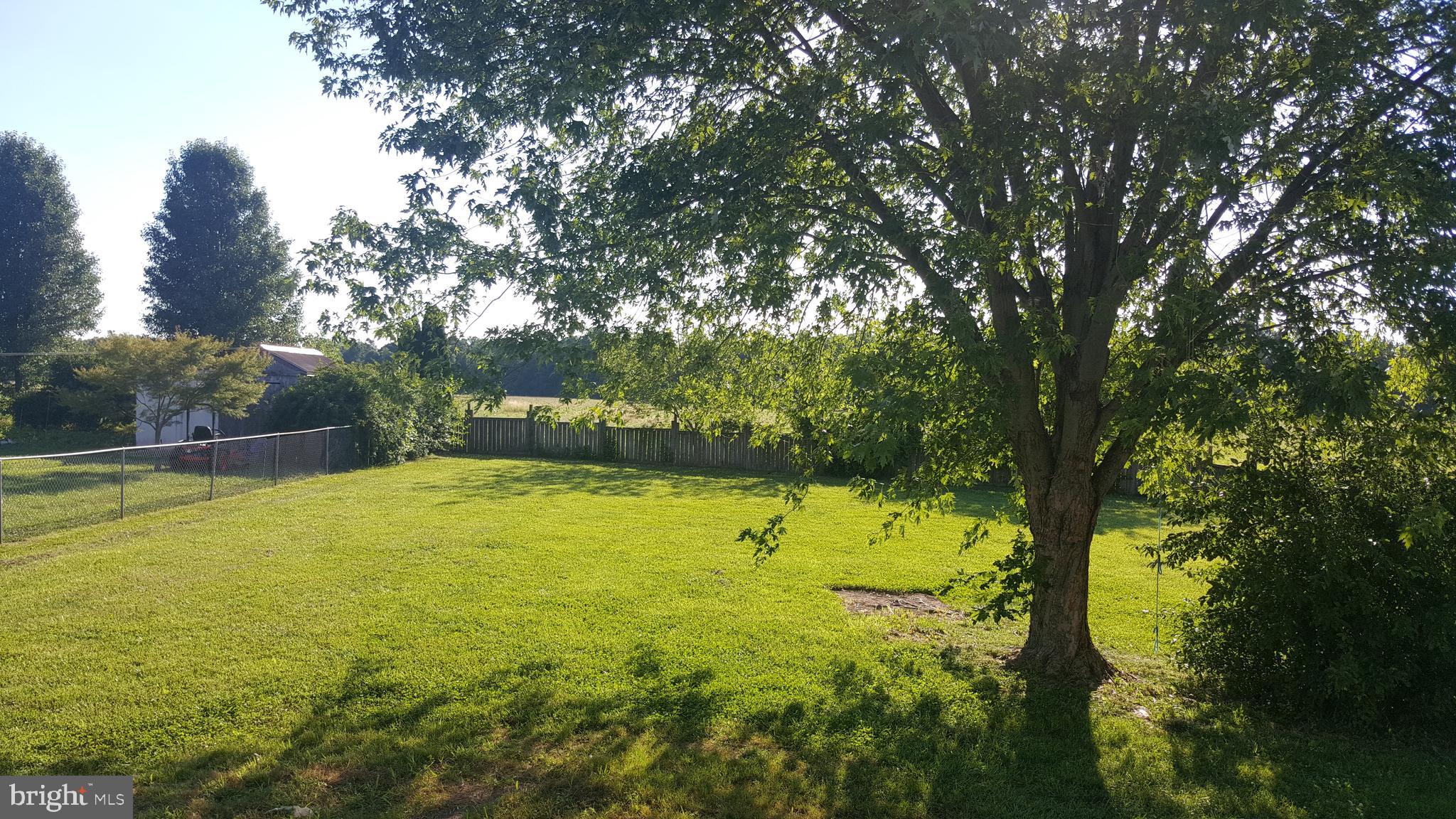 5977 Judith Road Clayton, DE 19938 - Photo 16 of 19 Back Yard