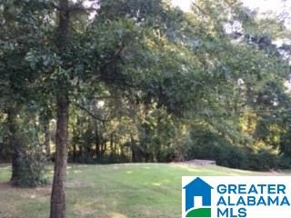 4585 Greathouse Road Dora, AL 35062 - Photo 6 of 15