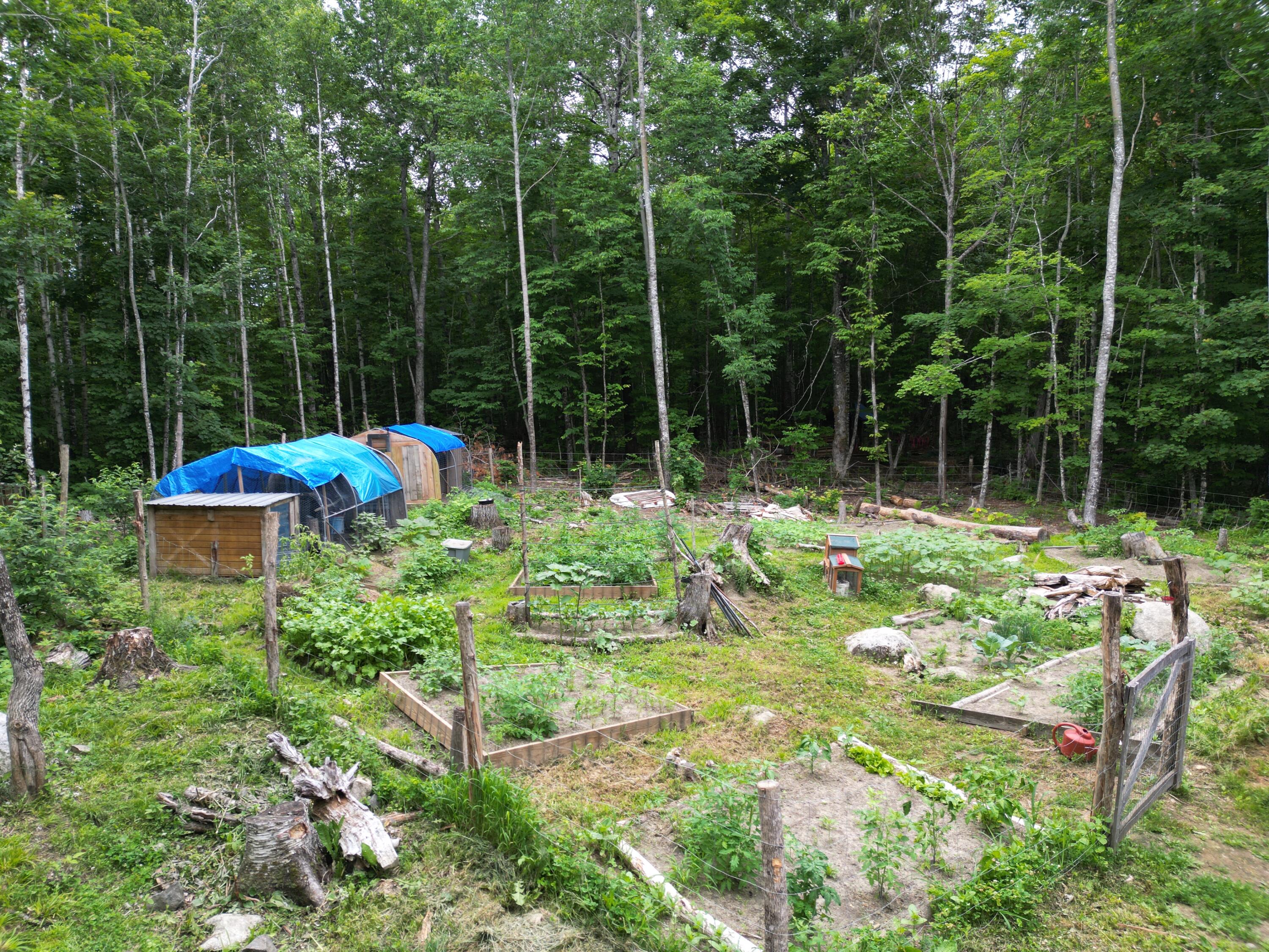 135 Clearcut Lodge Road Springfield, ME 04487 - Photo 23 of 23 DJI_0888