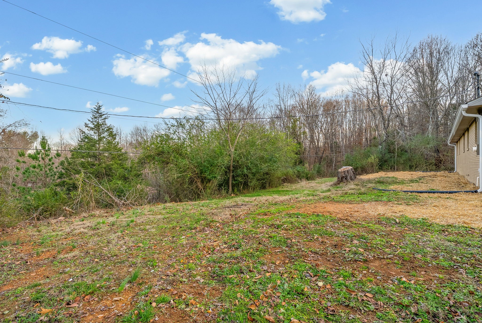 337 Fire Tower Road Erin, TN 37061 - Photo 28 of 30 Gallery Image 28