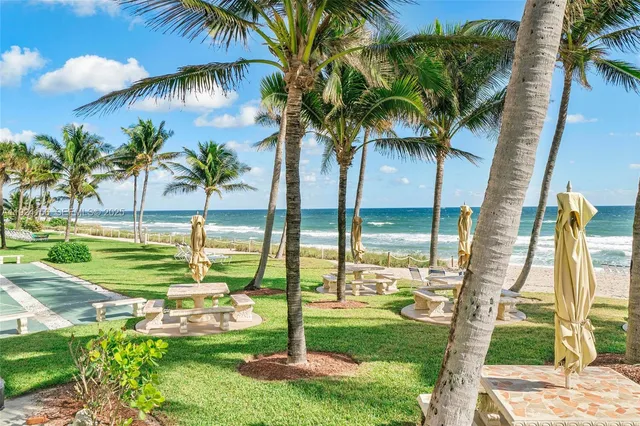 a view of three palm trees