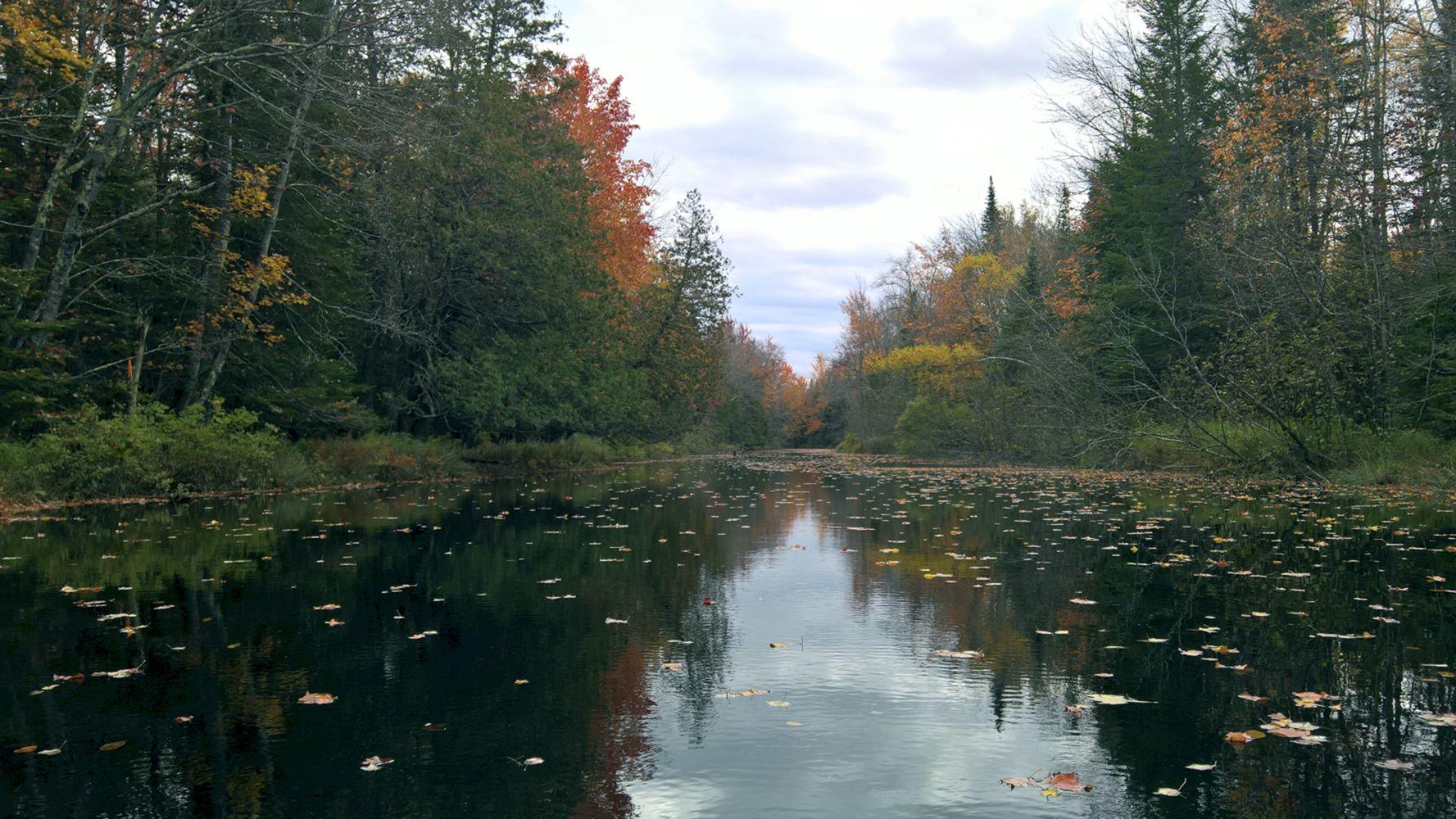 8a Halls Bridge Road Canaan, ME 04924 - Photo 34 of 44 WP_20191013_12_07_33_Pro