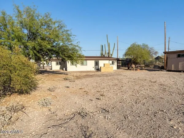 a view of a yard with a tree